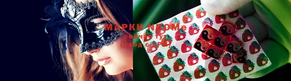метадон Богданович