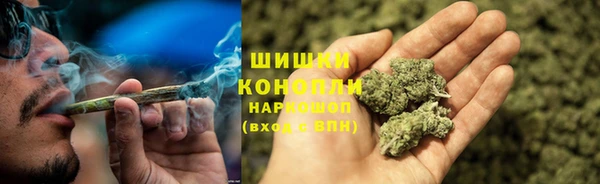 СК Богородск