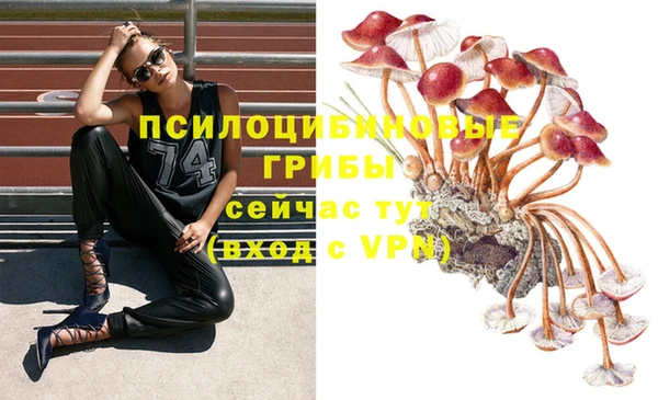 метадон Богданович