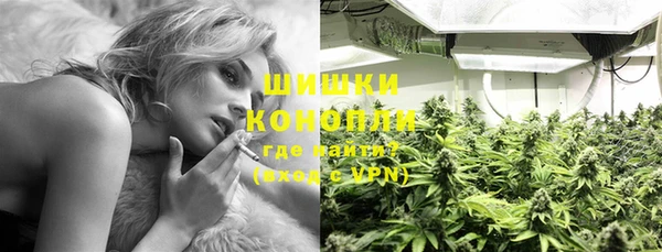 СК Богородск