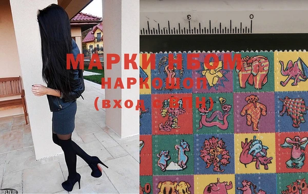 метадон Богданович
