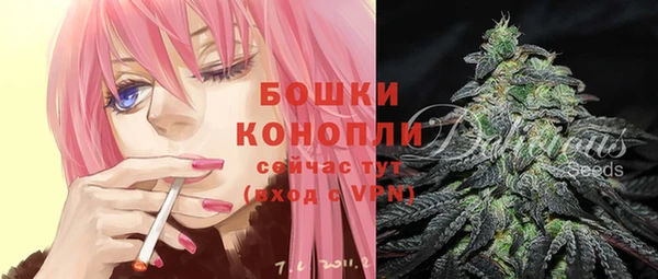 метадон Богданович