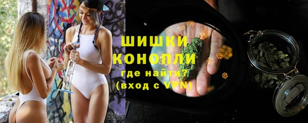 метадон Богданович