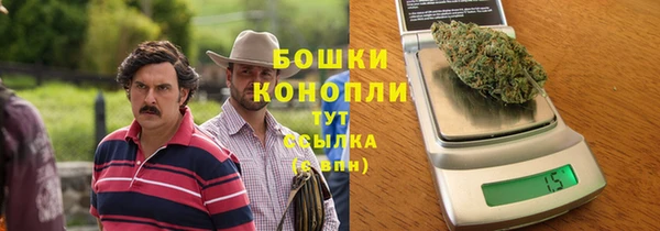 метадон Богданович