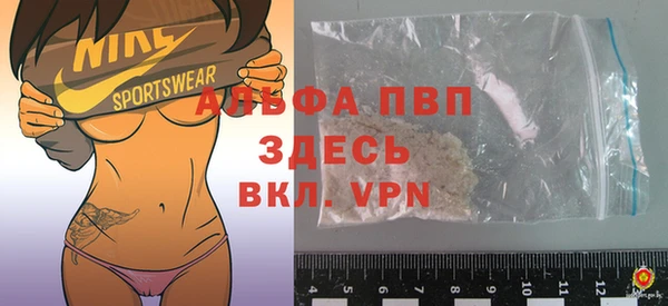 метадон Богданович