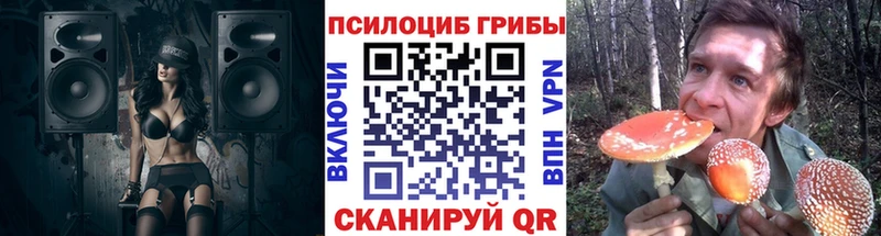 blacksprut вход  Ульяновск  Псилоцибиновые грибы мицелий 