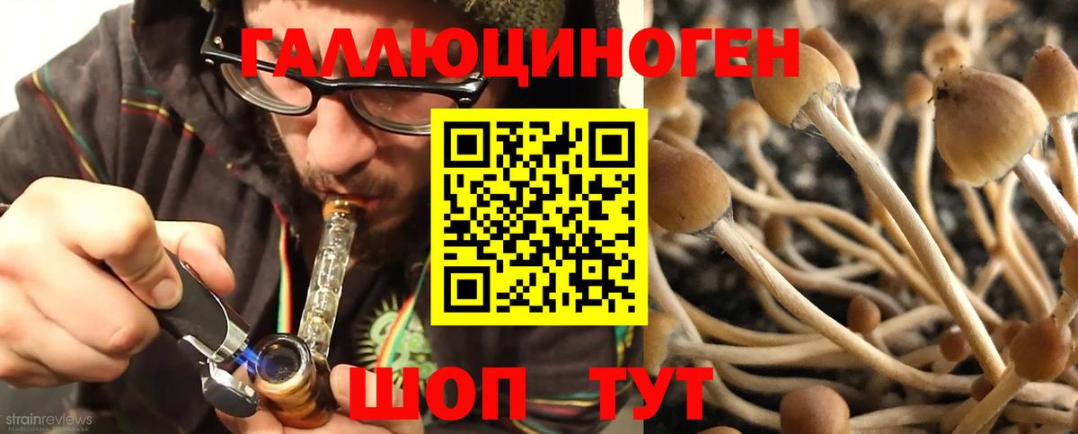 Псилоцибиновые грибы GOLDEN TEACHER  Вход с VPN  Ульяновск 